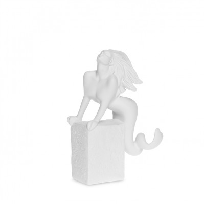SEGNO ZODIACALE - CAPRICORNO DONNA