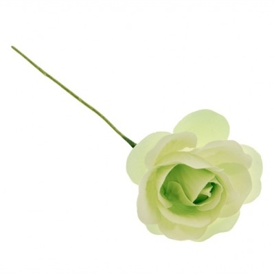 DESIDERIO MAXI FIORE CM.7 VERDE 240/2400