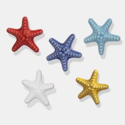 Magnete ceramica stella marina colori assortiti