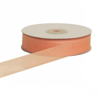 NASTRO ORGANZA PESCA 10MM 