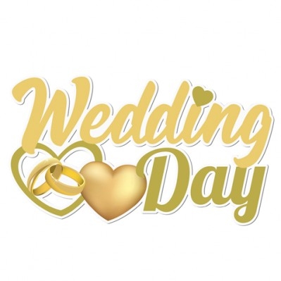FESTONE PARTY WEDDING DAY CM.120 H.68 