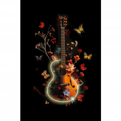 QUADRO LED CHITARRA