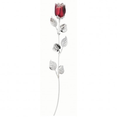 ROSA CM 30 - BORDEAUX SCARLATTA