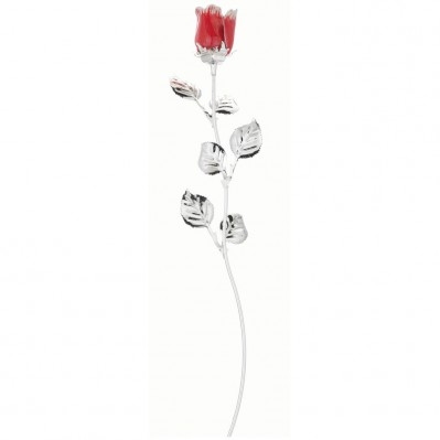 ROSA CM 30 - ROSSA SCARLATTA