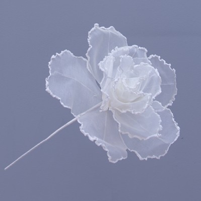 ROSE FIORE DM.28 H.40 AVORIO 