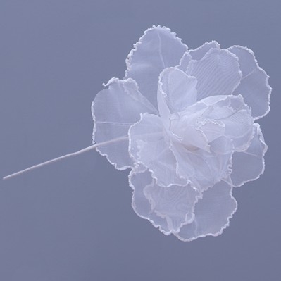 ROSE FIORE DM.28 H.40 BIANCO 