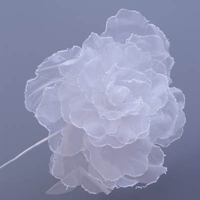 ROSE FIORE DM.50 H.50 BIANCO 