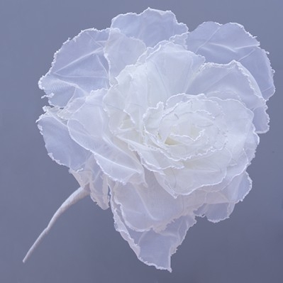 ROSE FIORE DM.60 H.65 BIANCO