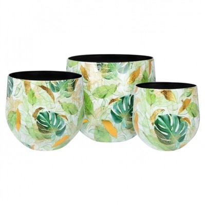SET 3 PORTAPIANTE JUNGLE