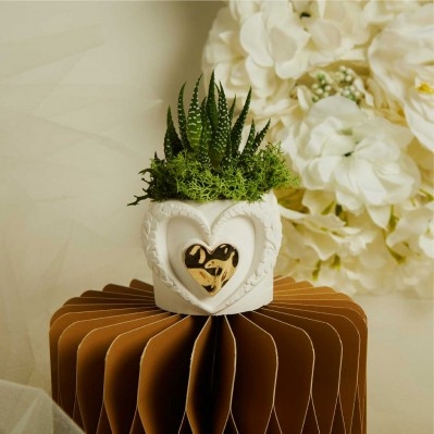 Bomboniera Claraluna Vasetto con Cuori e Pianta Grassa Inclusa cm. 6X5,5 - ORO