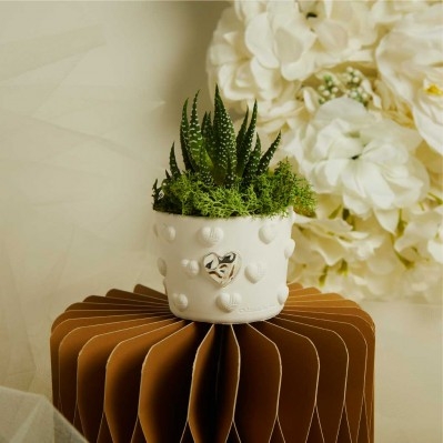 Bomboniera Claraluna Vasetto con Cuori a Rilievo e Pianta Grassa Inclusa cm. 6X5,5 - Argento