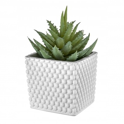 VASETTO PALLINI 7X7 BIANCO