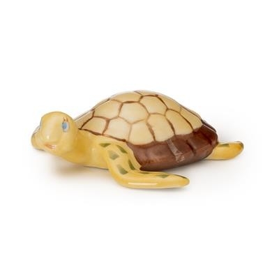 062 TARTARUGA