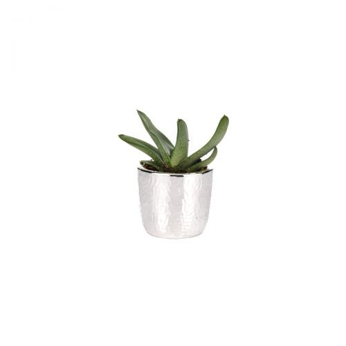 [Min. 3pz] Vaso NATURA 6,5cm h.6cm c/piantina - ROTONDO