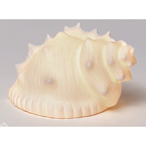 Conchiglia Nautilus in ceramica con LED