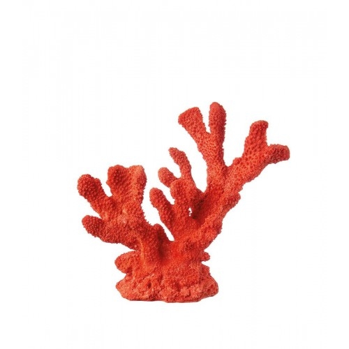 Corallo rosso