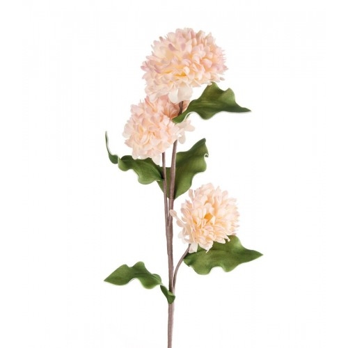 Dalia rosa chiaro