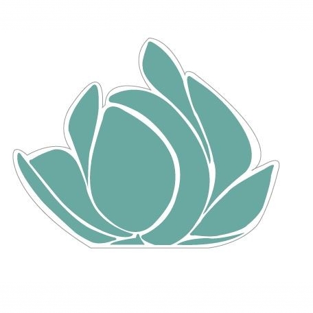 DIFFUSORE MAGNOLIA VARIANTE 