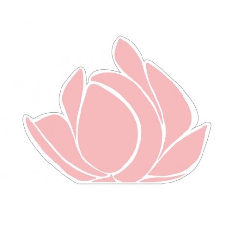 DIFFUSORE MAGNOLIA VARIANTE 