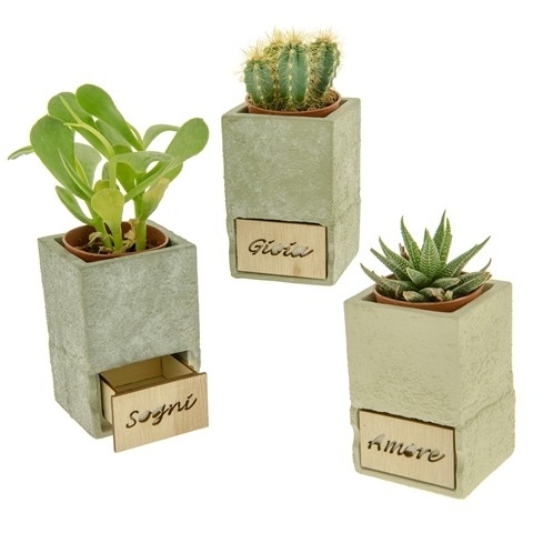 BOMBONIERA VASETTO CON CASSETTO E PIANTINA 9 CM