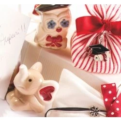 Dimmi se ti laurei a Ottobre e ti dirò che bomboniere farai!