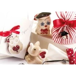 Coccinelle rosse, tocchi e gufi: i simboli per le tue bomboniere di laurea Wald in offerta