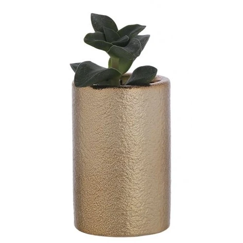 Vasetto con Piantina naturale - Bagutta