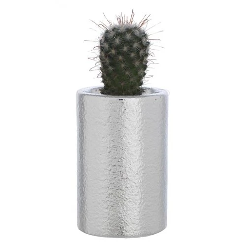 Vasetto con Piantina naturale - Bagutta