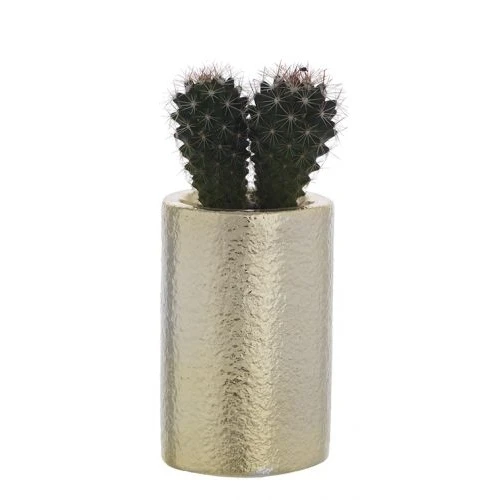 Vasetto con Piantina naturale - Bagutta