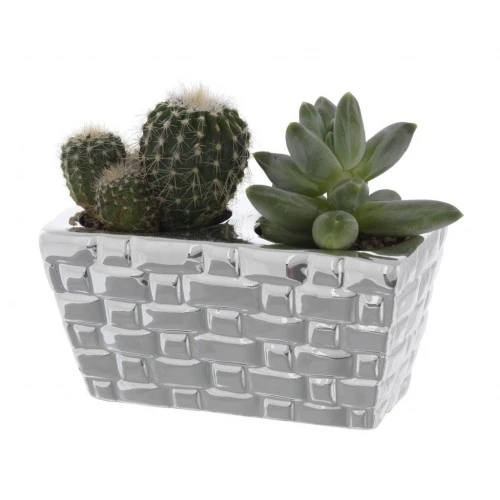 PORTAVASO QUADRO DOPPIO CM. 5x10x5 MATTONCINI CON PIANTINE GRASSE ASSORTITE