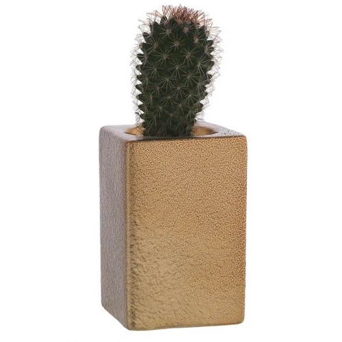 Vasetto con Piantina naturale - Bagutta