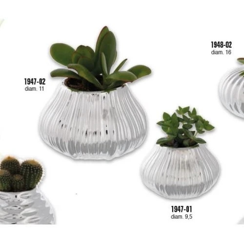 PORTAVASO CIPOLLA D. 11,0 MILLERIGHE CON PIANTINA GRASSA ASSORTITA