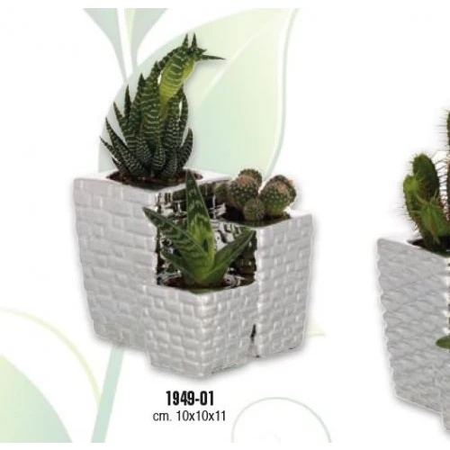 PORTAVASO TRITTICO BASE QUADRA CM. 10x10x11 MATTONCINI CON PIANTINE GRASSE ASS.TE