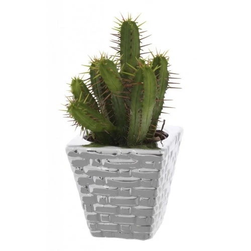 PORTAVASO QUADRO CM. 7x7x7 MATTONCINI CON PIANTINA GRASSA ASSORTITA