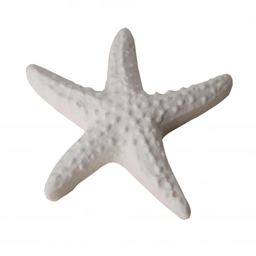Gessetto a forma di STELLA MARINA