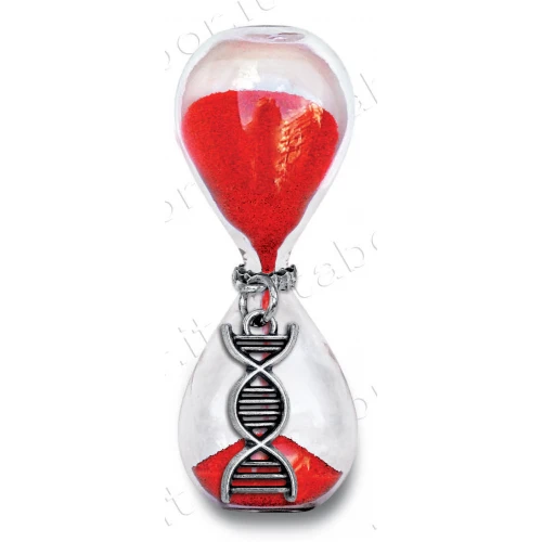 Clessidra laurea in Biologia , Medicina ciondolo dna c