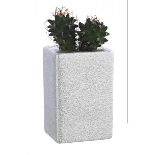 Vasetto con Piantina naturale - Bagutta