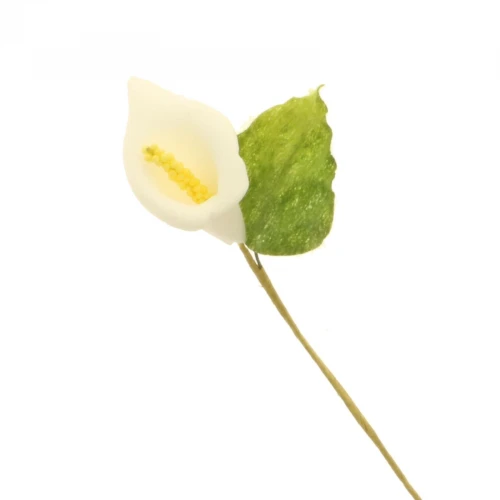 Calla per addobbo/confezionamento