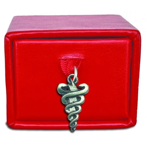 Scatolina porta confetti con ciondolo fulmini e serpenti per laurea in FISIOTERAPIA