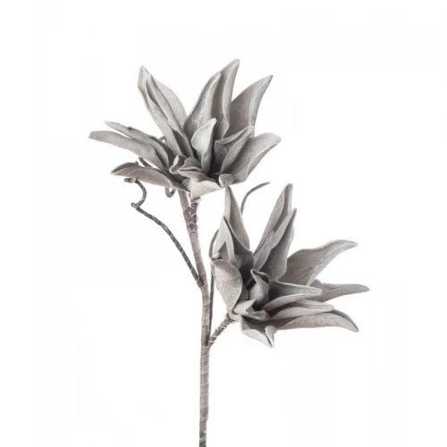 Agave Bianca