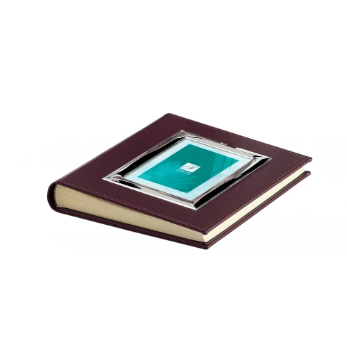 ALBUM PELLE E ARGENTO