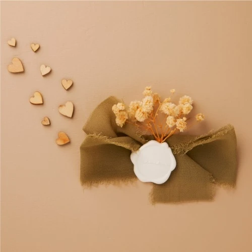 APPLICAZIONI VERDE CERALACCA - CLARALUNA 2025