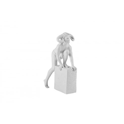 SEGNO ZODIACALE - ARIETE UOMO