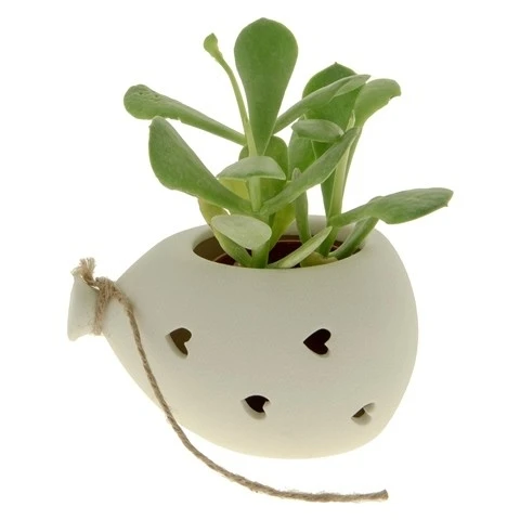 BOMBONIERA PALLONCINO CON PIANTINA 12 CM