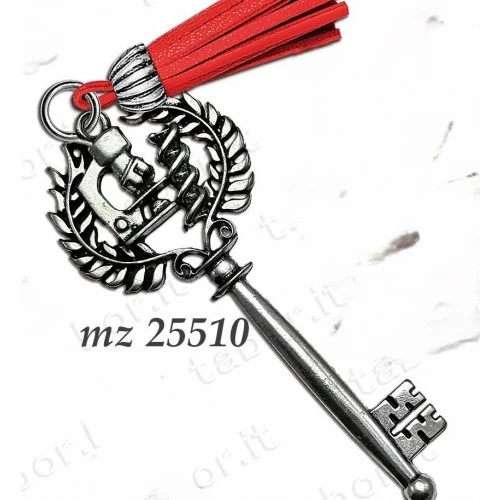 Bomboniera chiave laurea in biologia chimica