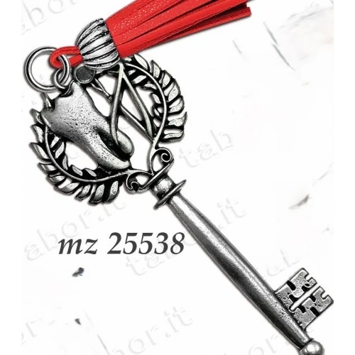 Bomboniera chiave laurea in odontoiatria