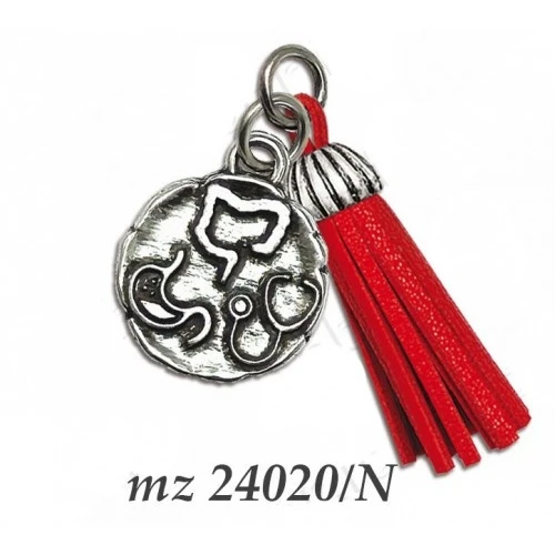 Bomboniera laurea ciondolo gastroenterologia con nappina