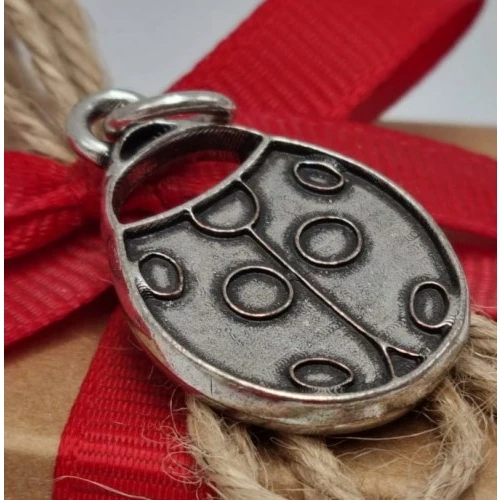 Bomboniera laurea coccinella in metallo