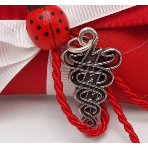 Bomboniera laurea in fisioterapia