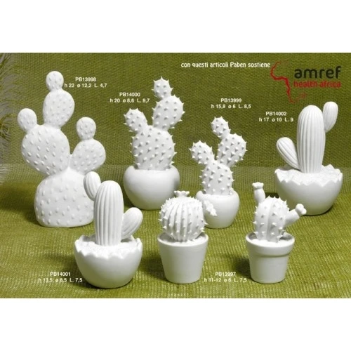 CACTUS 17 CM. PORCELLANA